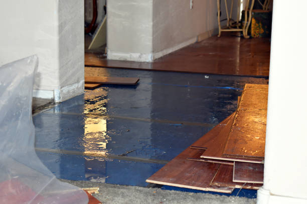 Professional Sewage Cleanup technician working in Wolfe City, TX